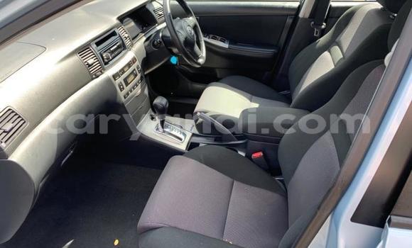 Buy Used Toyota Runx Other Car in Lusaka in Zambia Buy Used Toyota Runx Other Car in Lusaka in Zambia