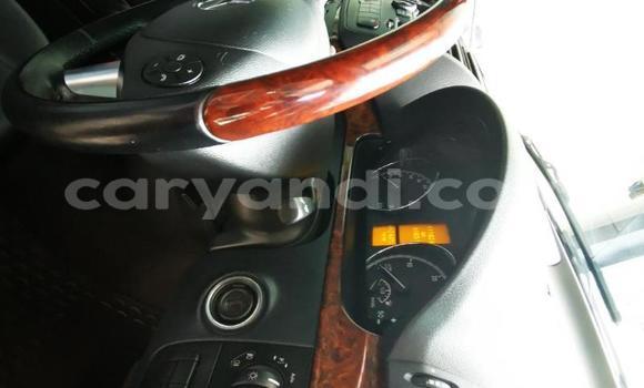 Tenga Tsaru Mercedes‒Benz Viano Nhema Mota in Lusaka in Zambia Tenga Tsaru Mercedes‒Benz Viano Nhema Mota in Lusaka in Zambia