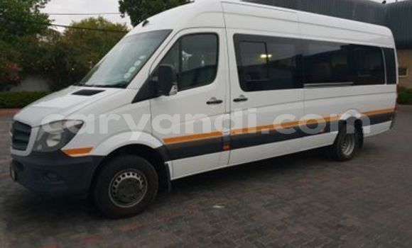 Tenga Tsaru Mercedes‒Benz Viano Chena Mota in Lusaka in Zambia