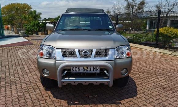 Buy Used Nissan Hardbody Brown Car in Livingstone in Zambia