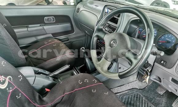 Tenga Tsaru Nissan Hardbody Bhurawuni Mota in Livingstone in Zambia Tenga Tsaru Nissan Hardbody Bhurawuni Mota in Livingstone in Zambia