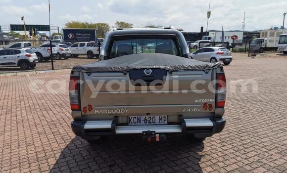 Tenga Tsaru Nissan Hardbody Bhurawuni Mota in Livingstone in Zambia Tenga Tsaru Nissan Hardbody Bhurawuni Mota in Livingstone in Zambia