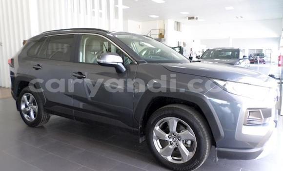 Buy Used Toyota RAV4 Other Car in Lusaka in Zambia