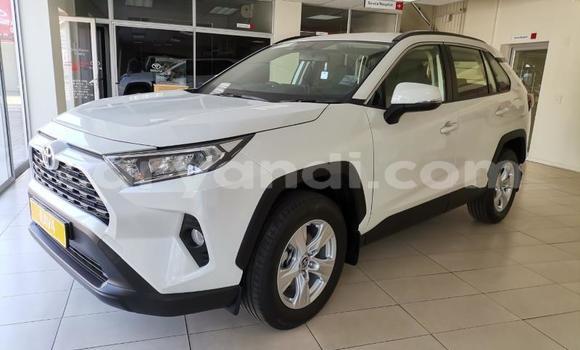 Nunua Ilio tumika Toyota RAV4 Nyeupe Gari ndani ya Lusaka nchini Zambia
