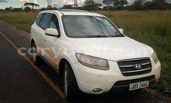 Buy Used Hyundai Santa Fe White Car in Lusaka in Zambia