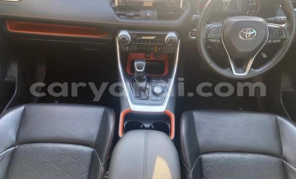 Tenga Tsaru Toyota RAV4 Nhema Mota in Ndola in Zambia Tenga Tsaru Toyota RAV4 Nhema Mota in Ndola in Zambia