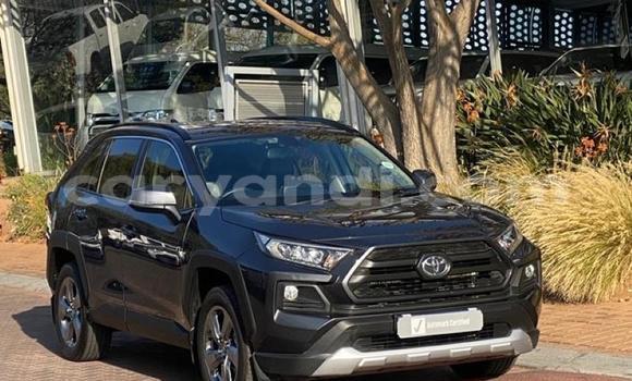 Tenga Tsaru Toyota RAV4 Nhema Mota in Ndola in Zambia Tenga Tsaru Toyota RAV4 Nhema Mota in Ndola in Zambia