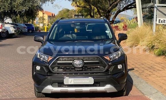 Tenga Tsaru Toyota RAV4 Nhema Mota in Ndola in Zambia Tenga Tsaru Toyota RAV4 Nhema Mota in Ndola in Zambia