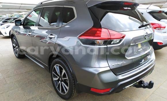 Acheter Occasion Voiture Nissan X–Trail Gris à Mazabuka, Du sud Acheter Occasion Voiture Nissan X–Trail Gris à Mazabuka, Du sud