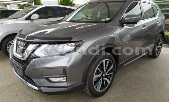 Acheter Occasion Voiture Nissan X–Trail Gris à Mazabuka, Du sud Acheter Occasion Voiture Nissan X–Trail Gris à Mazabuka, Du sud