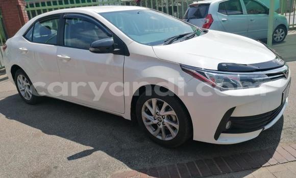 Buy Used Toyota Corolla II White Car in Lusaka in Zambia