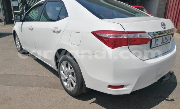 Buy Used Toyota Corolla II White Car in Lusaka in Zambia Buy Used Toyota Corolla II White Car in Lusaka in Zambia