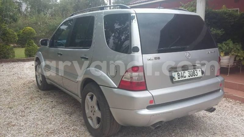 Big with watermark 43880256 157845481824638 895143421541351424 o