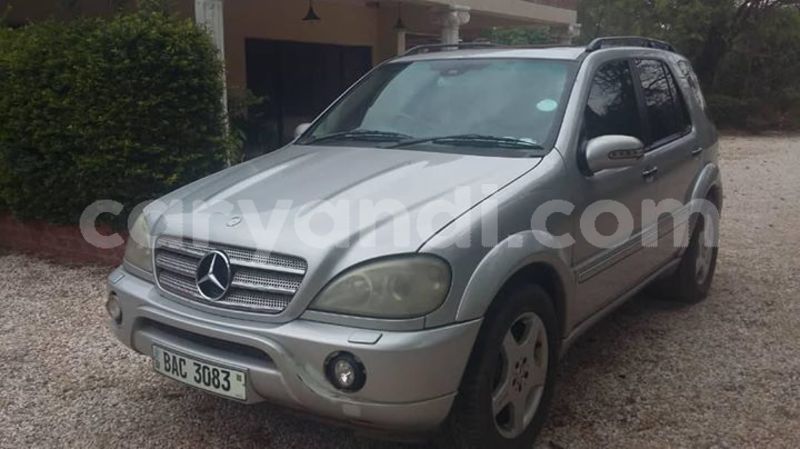 Big with watermark 43952242 157845575157962 4335428086951575552 o