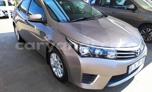 Acheter Occasion Voiture Toyota Corolla Beige à Zambèze, Nord-Ouest Acheter Occasion Voiture Toyota Corolla Beige à Zambèze, Nord-Ouest