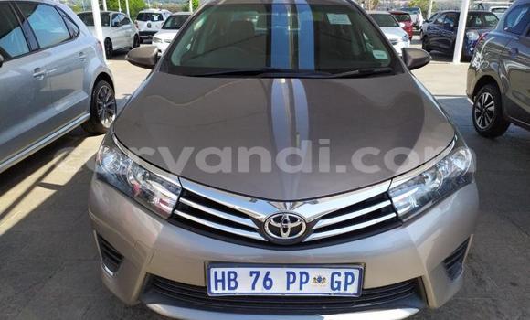 Buy Used Toyota Corolla Beige Car in Zambezi in North-Western Buy Used Toyota Corolla Beige Car in Zambezi in North-Western