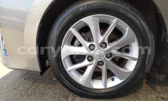 Buy Used Toyota Corolla Beige Car in Zambezi in North-Western Buy Used Toyota Corolla Beige Car in Zambezi in North-Western