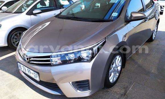 Buy Used Toyota Corolla Beige Car in Zambezi in North-Western Buy Used Toyota Corolla Beige Car in Zambezi in North-Western