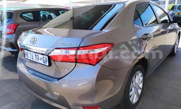 Buy Used Toyota Corolla Beige Car in Zambezi in North-Western Buy Used Toyota Corolla Beige Car in Zambezi in North-Western