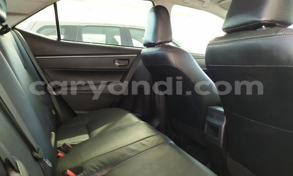 Buy Used Toyota Corolla Beige Car in Zambezi in North-Western Buy Used Toyota Corolla Beige Car in Zambezi in North-Western