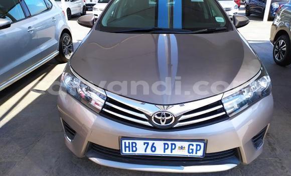 Buy Used Toyota Corolla Beige Car in Zambezi in North-Western Buy Used Toyota Corolla Beige Car in Zambezi in North-Western