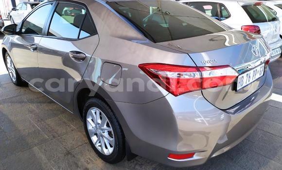 Buy Used Toyota Corolla Beige Car in Zambezi in North-Western Buy Used Toyota Corolla Beige Car in Zambezi in North-Western