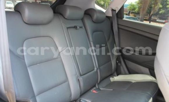 Tenga Tsaru Hyundai Tucson Chena Mota in Mufulira in Zambia Tenga Tsaru Hyundai Tucson Chena Mota in Mufulira in Zambia