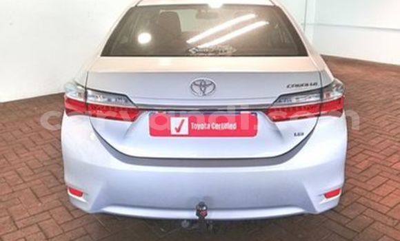 Tenga Tsaru Toyota Corolla Chena Mota in Mazabuka in Southern Tenga Tsaru Toyota Corolla Chena Mota in Mazabuka in Southern