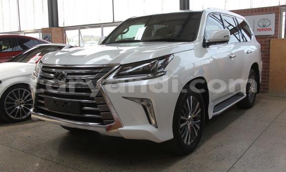 Nunua Ilio tumika Lexus LX 570 Nyeupe Gari ndani ya Zambezi nchini Kaskazini-Magharibi