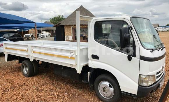 Buy Used Toyota Dyna White Truck in Lusaka in Zambia