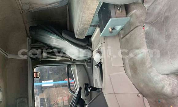 Tenga Tsaru Nissan UD Chena Rori in Lusaka in Zambia Tenga Tsaru Nissan UD Chena Rori in Lusaka in Zambia