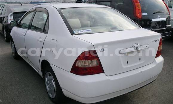 Tenga Tsaru Toyota Corolla Chena Mota in Chingola in Zambia Tenga Tsaru Toyota Corolla Chena Mota in Chingola in Zambia