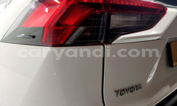 Tenga Tsaru Toyota RAV4 Chena Mota in Mazabuka in Southern Tenga Tsaru Toyota RAV4 Chena Mota in Mazabuka in Southern