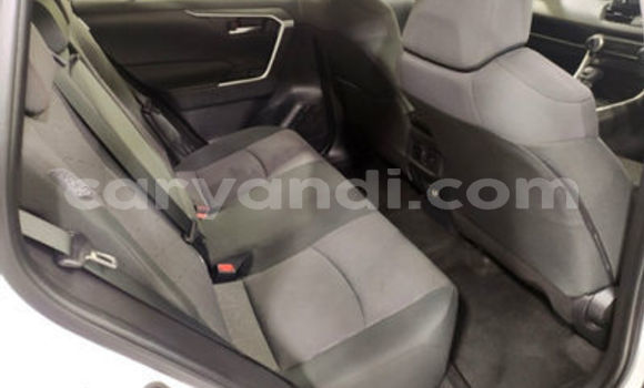 Tenga Tsaru Toyota RAV4 Chena Mota in Mazabuka in Southern Tenga Tsaru Toyota RAV4 Chena Mota in Mazabuka in Southern