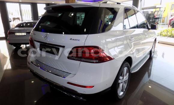 Buy Used Mercedes‒Benz GLE White Car in Choma in Southern Buy Used Mercedes‒Benz GLE White Car in Choma in Southern