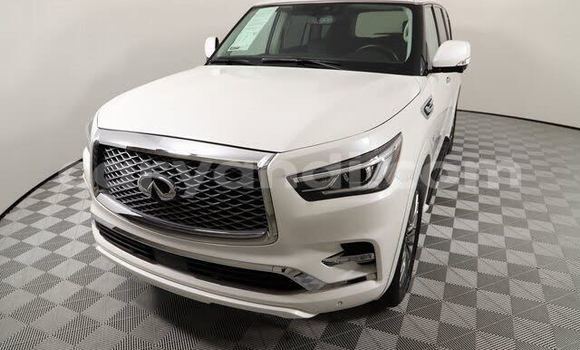 Buy Used Infiniti QX80 White Car in Chilanga in Lusaka