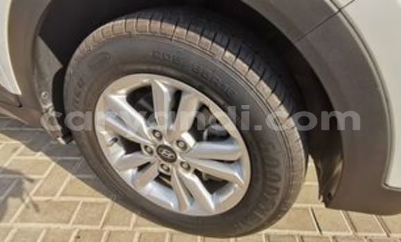 Tenga Tsaru Hyundai Creta Chena Mota in Livingstone in Zambia Tenga Tsaru Hyundai Creta Chena Mota in Livingstone in Zambia