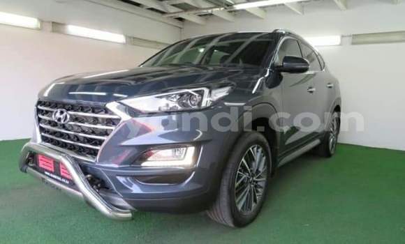 Buy Used Hyundai Tucson Silver Car in Kitwe in Zambia Buy Used Hyundai Tucson Silver Car in Kitwe in Zambia