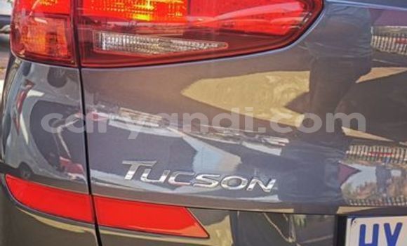 Acheter Occasion Voiture Hyundai Tucson Autre à Chilanga, Lusaka Acheter Occasion Voiture Hyundai Tucson Autre à Chilanga, Lusaka