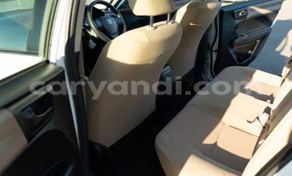 Tenga Tsaru Toyota Corolla Chena Mota in Chipata in Zambia Tenga Tsaru Toyota Corolla Chena Mota in Chipata in Zambia