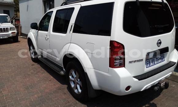 Tenga Tsaru Nissan Pathfinder Chena Mota in Lusaka in Zambia Tenga Tsaru Nissan Pathfinder Chena Mota in Lusaka in Zambia