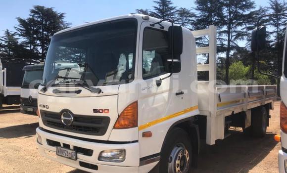 Buy Used Hino 300 Series White Truck in Chingola in Zambia