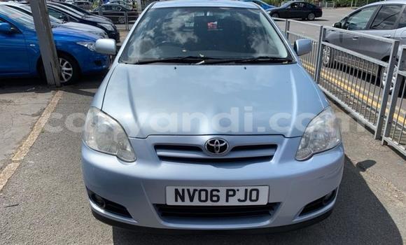 Buy Used Toyota Corolla Other Car in Lusaka in Zambia