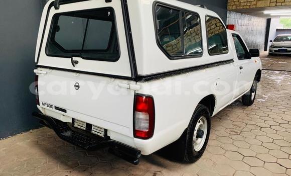 Acheter Occasion Voiture Nissan NP 300 Blanc à Chipata, Zambie Acheter Occasion Voiture Nissan NP 300 Blanc à Chipata, Zambie