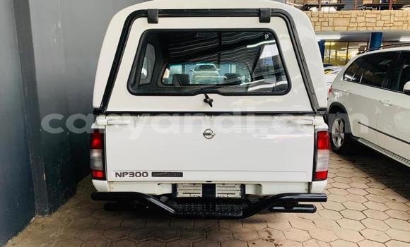 Acheter Occasion Voiture Nissan NP 300 Blanc à Chipata, Zambie Acheter Occasion Voiture Nissan NP 300 Blanc à Chipata, Zambie