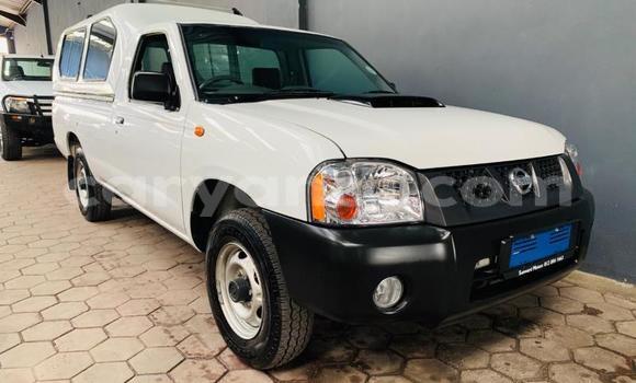 Nunua Ilio tumika Nissan NP 300 Nyeupe Gari ndani ya Chingola nchini Zambia Nunua Ilio tumika Nissan NP 300 Nyeupe Gari ndani ya Chingola nchini Zambia