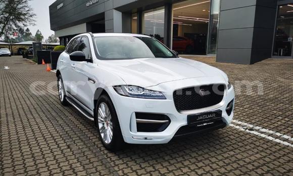 Buy Used Jaguar F-Pace White Car in Chingola in Zambia