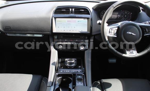 Tenga Tsaru Jaguar F-Pace Chena Mota in Chingola in Zambia Tenga Tsaru Jaguar F-Pace Chena Mota in Chingola in Zambia