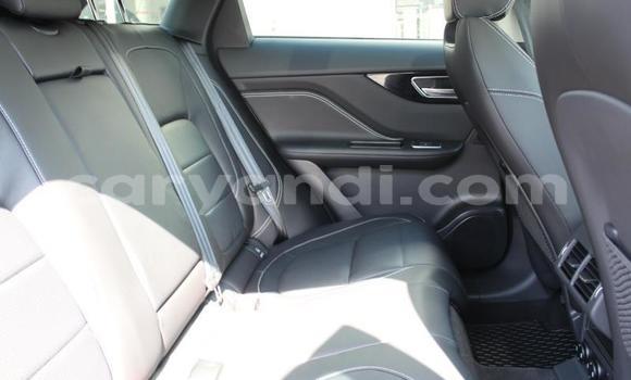 Tenga Tsaru Jaguar F-Pace Chena Mota in Chingola in Zambia Tenga Tsaru Jaguar F-Pace Chena Mota in Chingola in Zambia