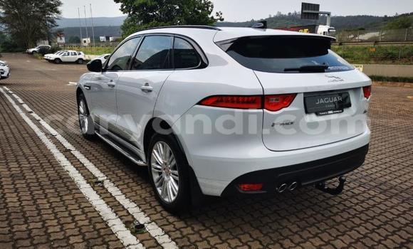 Tenga Tsaru Jaguar F-Pace Chena Mota in Chingola in Zambia Tenga Tsaru Jaguar F-Pace Chena Mota in Chingola in Zambia